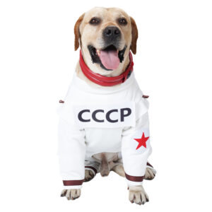 Animaux Guardians of the Galaxy Vol. 3 Chien Combinaisons Spatiales Costume