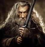 Le Seigneur des Anneaux Gandalf Perruque + Barbe