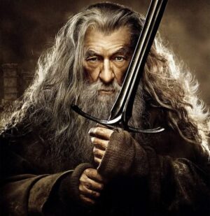 Le Seigneur des Anneaux Gandalf Perruque + Barbe