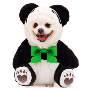 Animal Panda pour Petit Chien Costume d'Halloween